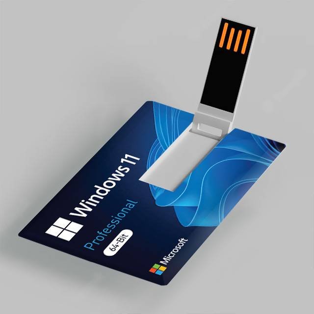 Microsoft Windows 11 Pro (USB Flash Drive)