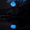Night 4K